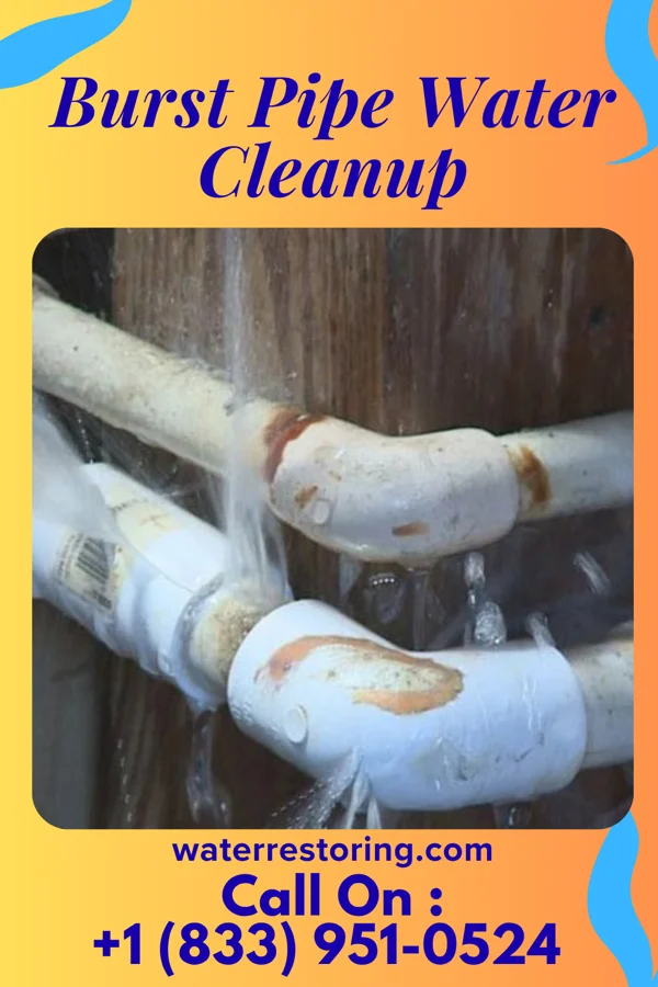 Burst Pipe Water Cleanup in Denton, GA