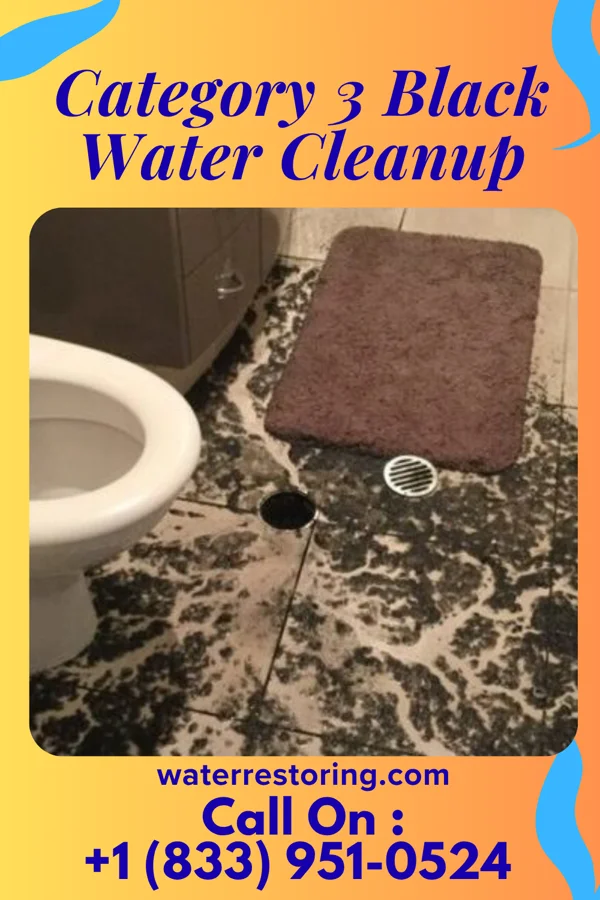 Category 3 Black Water Cleanup in Denton, GA