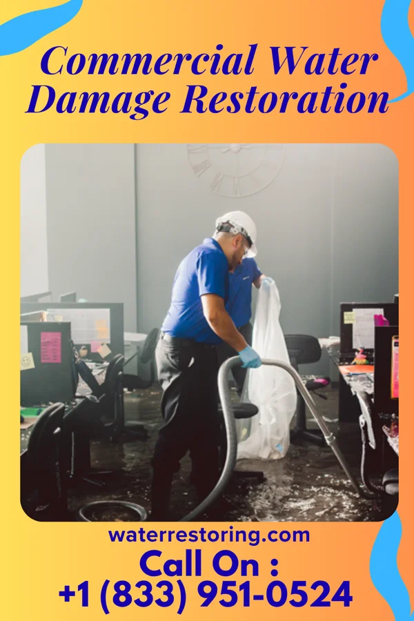 Commercial Water Damage Restoration in Denton, GA