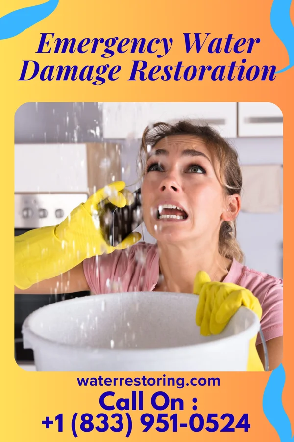 Emergency Water Damage Restoration in Denton, GA