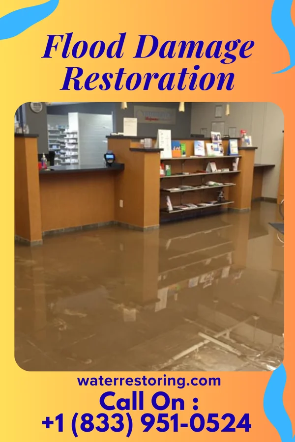 Flood Damage Restoration in Denton, GA