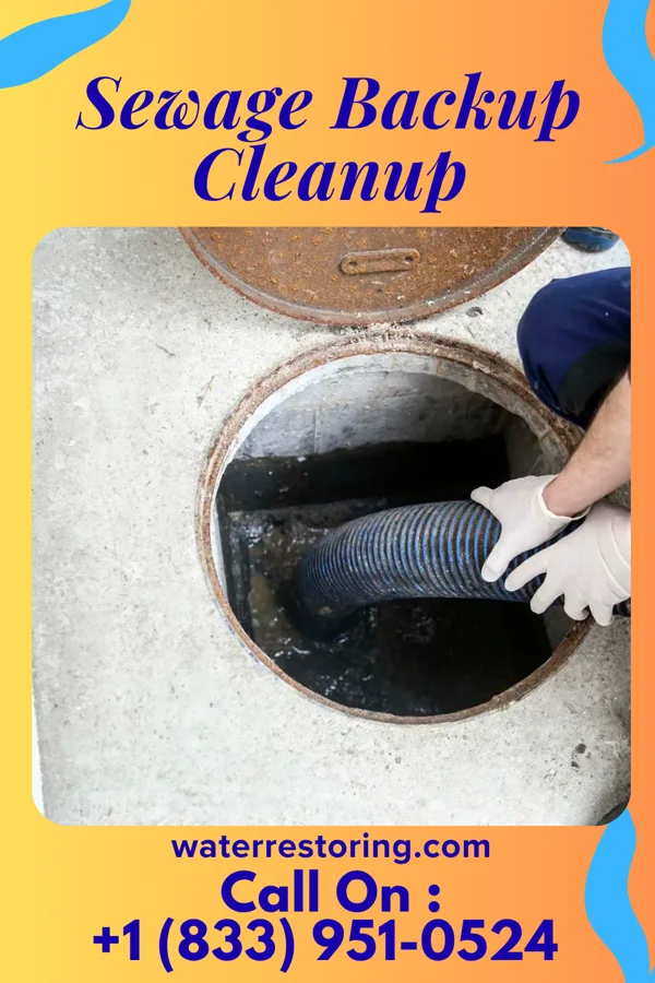 Sewage Backup Cleanup in Denton, GA